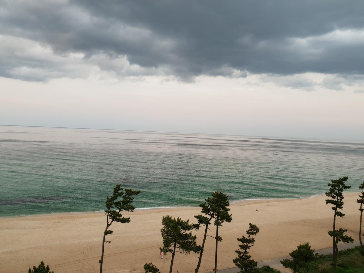 江陵市 ギョンポ タイムモーテル エクステリア 写真