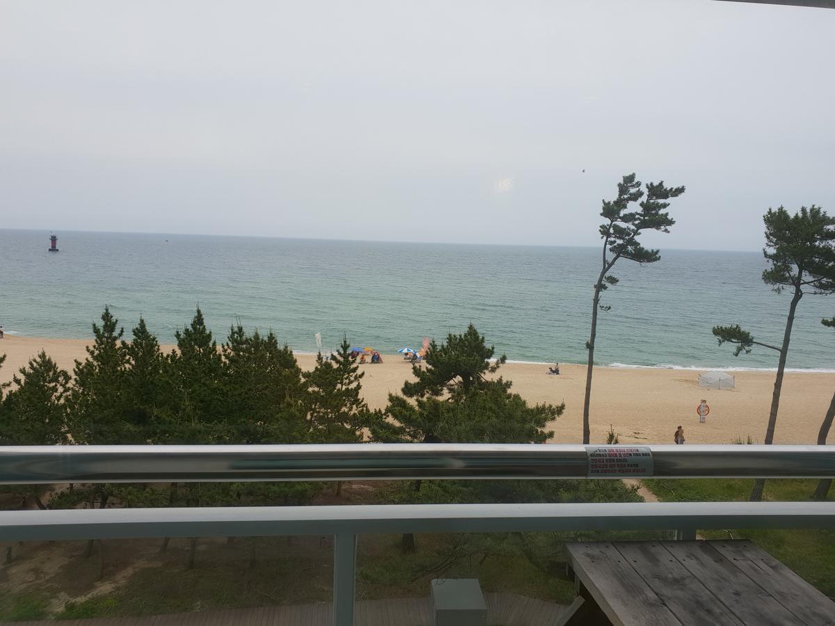 江陵市 ギョンポ タイムモーテル エクステリア 写真