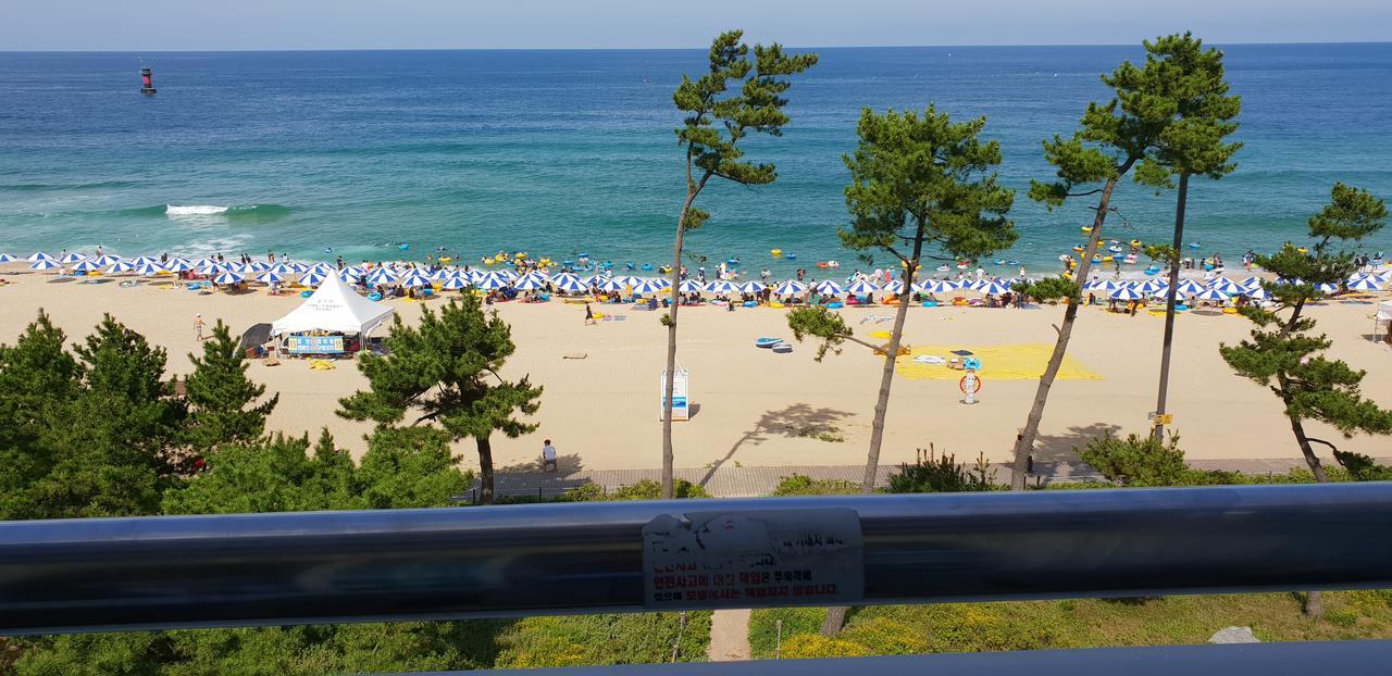 江陵市 ギョンポ タイムモーテル エクステリア 写真